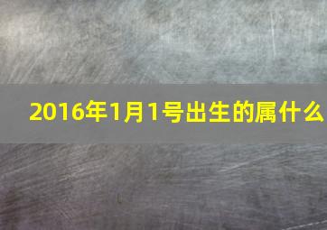 2016年1月1号出生的属什么