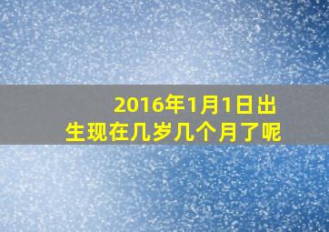 2016年1月1日出生现在几岁几个月了呢