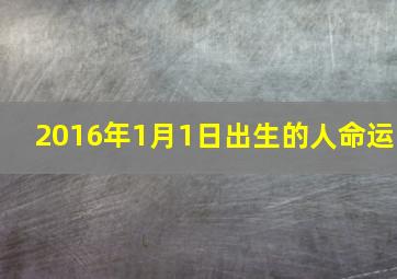 2016年1月1日出生的人命运