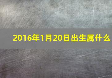 2016年1月20日出生属什么