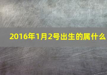 2016年1月2号出生的属什么