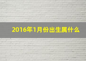 2016年1月份出生属什么