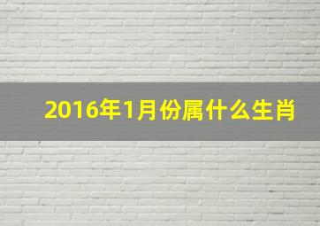 2016年1月份属什么生肖