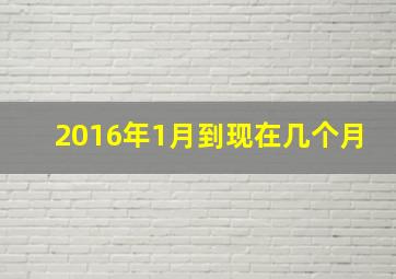 2016年1月到现在几个月