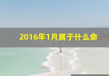 2016年1月属于什么命