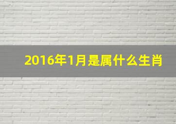 2016年1月是属什么生肖