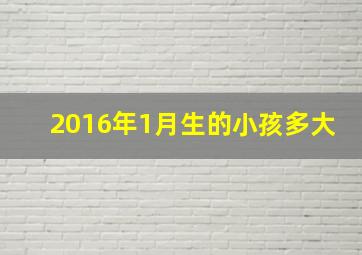 2016年1月生的小孩多大