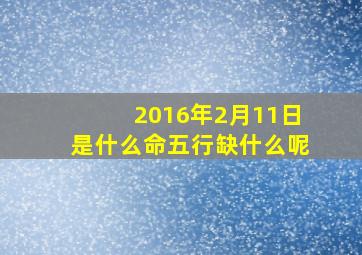 2016年2月11日是什么命五行缺什么呢