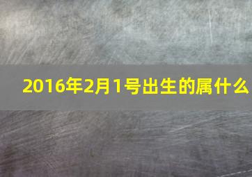 2016年2月1号出生的属什么