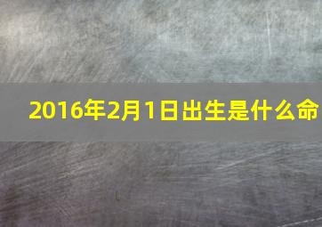 2016年2月1日出生是什么命