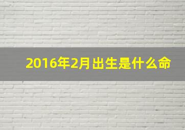 2016年2月出生是什么命