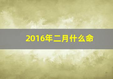 2016年二月什么命