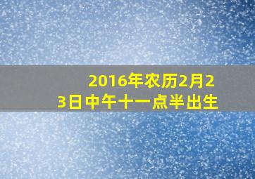 2016年农历2月23日中午十一点半出生