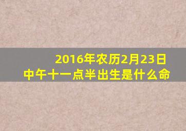 2016年农历2月23日中午十一点半出生是什么命