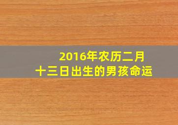 2016年农历二月十三日出生的男孩命运