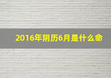 2016年阴历6月是什么命