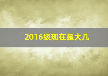 2016级现在是大几