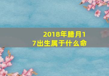 2018年腊月17出生属于什么命