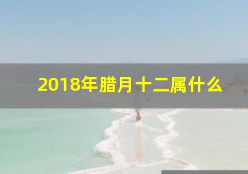 2018年腊月十二属什么