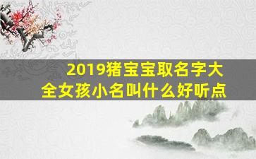 2019猪宝宝取名字大全女孩小名叫什么好听点