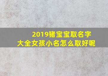 2019猪宝宝取名字大全女孩小名怎么取好呢