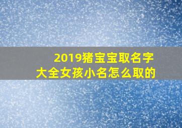 2019猪宝宝取名字大全女孩小名怎么取的