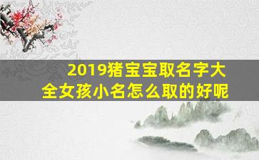 2019猪宝宝取名字大全女孩小名怎么取的好呢