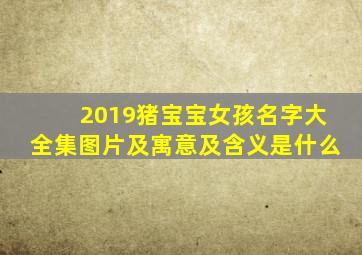 2019猪宝宝女孩名字大全集图片及寓意及含义是什么