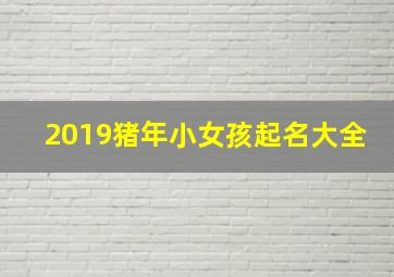 2019猪年小女孩起名大全