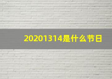 20201314是什么节日