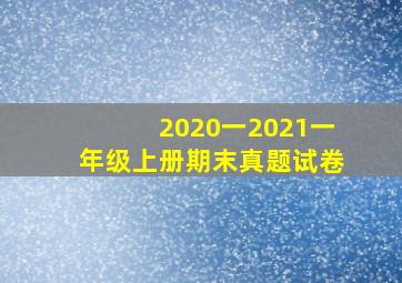 2020一2021一年级上册期末真题试卷