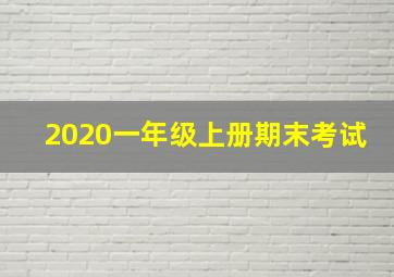 2020一年级上册期末考试