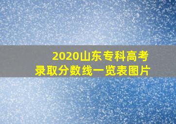 2020山东专科高考录取分数线一览表图片