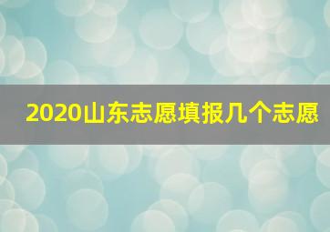 2020山东志愿填报几个志愿