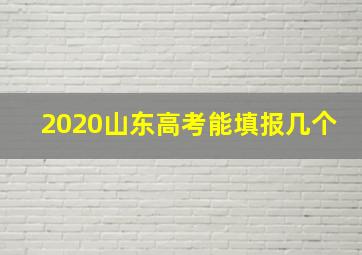 2020山东高考能填报几个