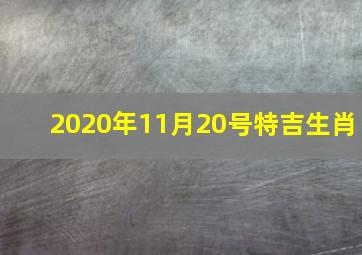 2020年11月20号特吉生肖