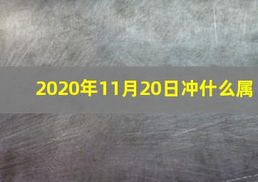 2020年11月20日冲什么属