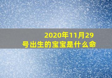 2020年11月29号出生的宝宝是什么命