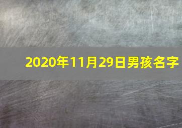 2020年11月29日男孩名字