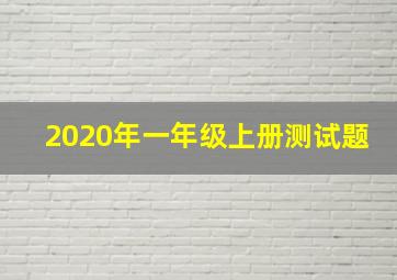 2020年一年级上册测试题