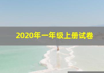 2020年一年级上册试卷