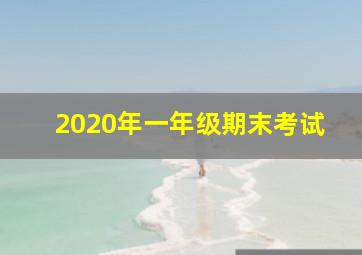 2020年一年级期末考试