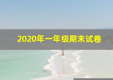 2020年一年级期末试卷