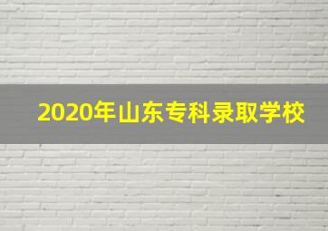 2020年山东专科录取学校