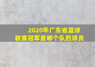 2020年广东省篮球联赛冠军是哪个队的球员