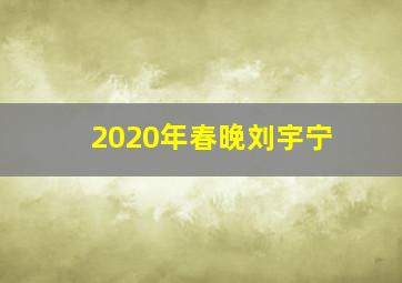 2020年春晚刘宇宁