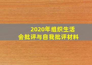 2020年组织生活会批评与自我批评材料