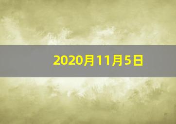 2020月11月5日