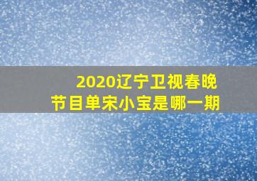 2020辽宁卫视春晚节目单宋小宝是哪一期