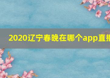 2020辽宁春晚在哪个app直播